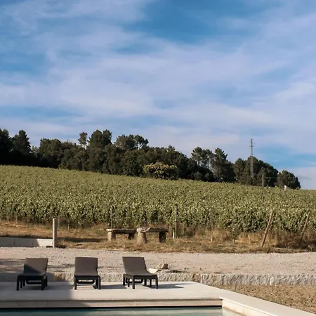Semesterbostad Canhoto Douro