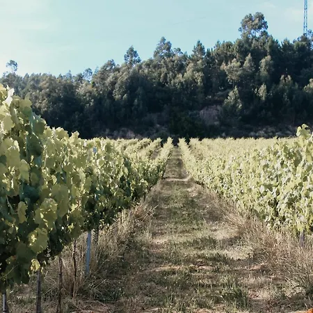 Canhoto Douro *