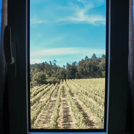 Semesterbostad Canhoto Douro *